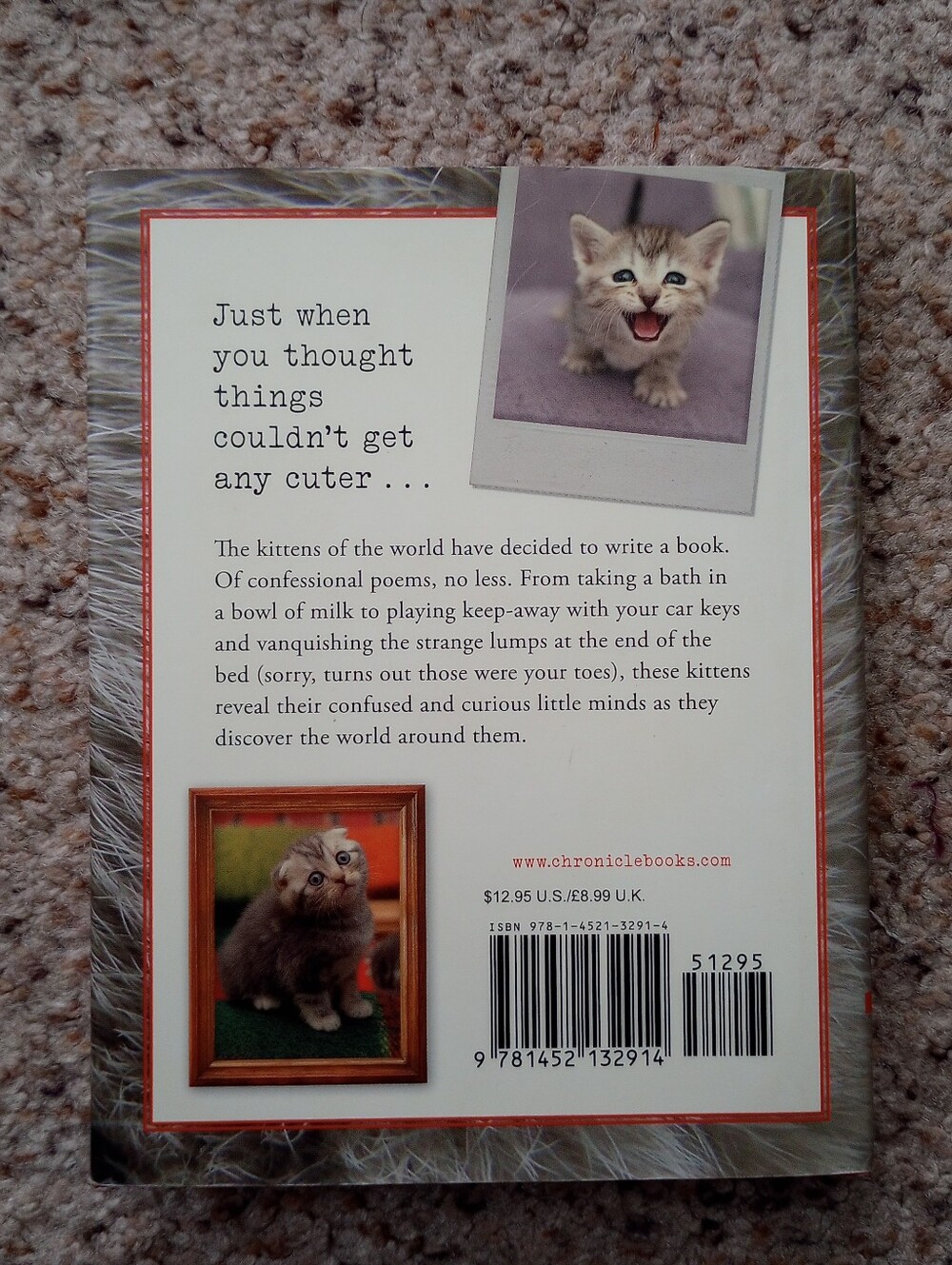 Lot Of Cat Books 5 Total Cats Kittens Cute Pictures Facts - Picture 10 of 13